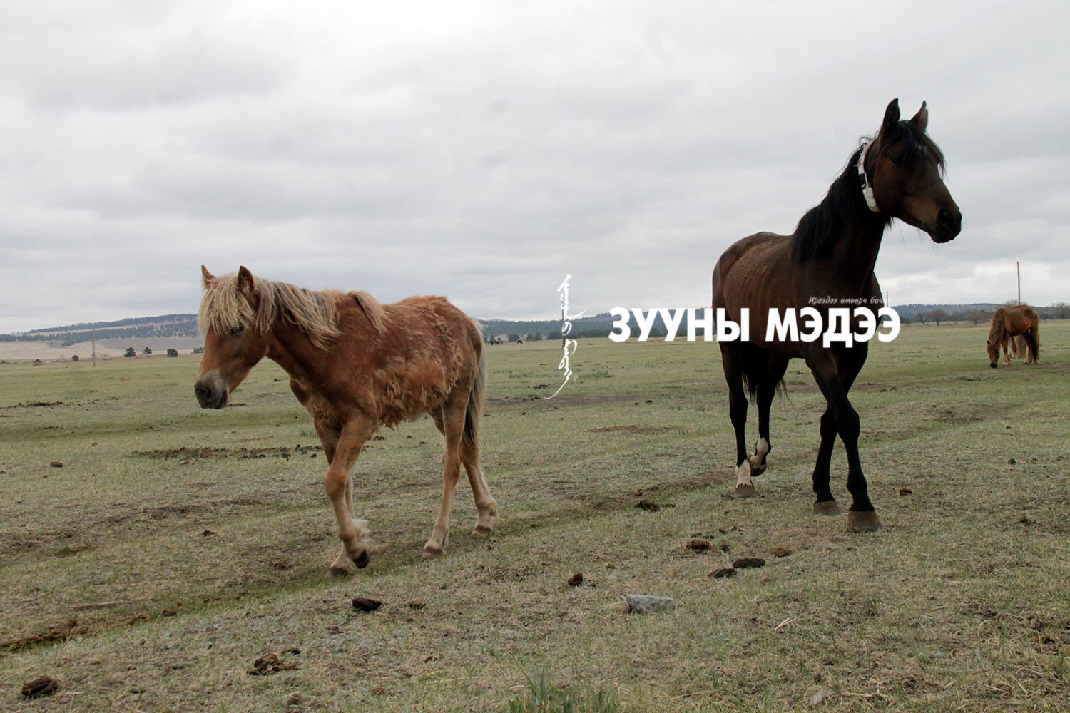 Фото: Хөдөөгийн сайхан